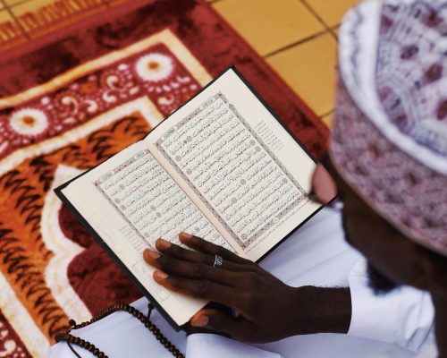 pexels planeteelevene 34261499